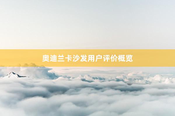 奥迪兰卡沙发用户评价概览